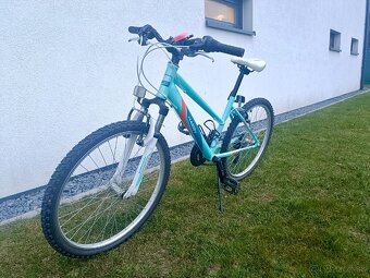 Detský bicykel  Harry bike 24" - 3