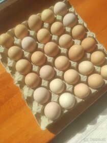 Domáce vajíčka - 3