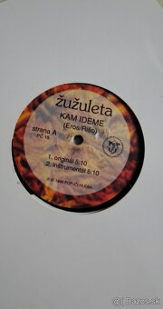 Žužuleta vinyl Kam ideme Prečo Platne - 3