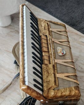 Predám Akordeón Delicia 120bas - 3