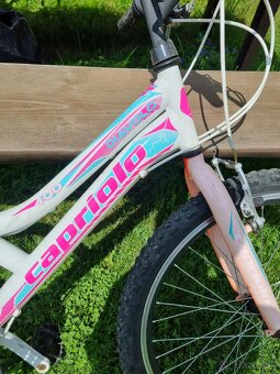 používaný bicykel capriolo s držiakom na flašu - 3