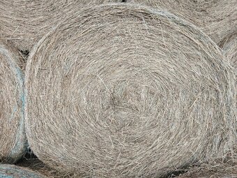 Balikované seno - 3