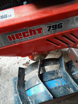 Starecov Hecht - 3
