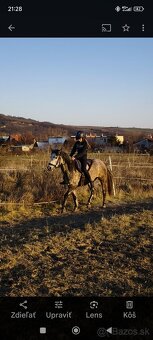 Športová pony kobylka - 3