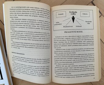 KNIHA -7 návyků vůdčích osobností za 5E - 3