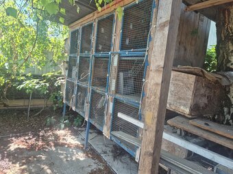 Zajacnik - 3