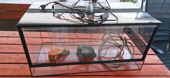 Terarium - 3