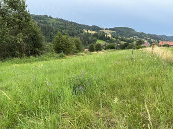 2979 M2 Stavebný pozemok na Beňuši - 3