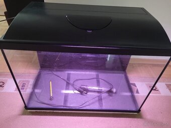 Skaláre a akvárium - 3