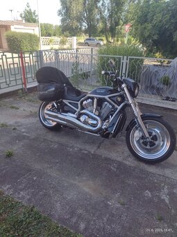 Harley Davidson V-rod 1130 VRSCAW - 3