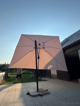 Slnečník - 3