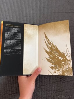 Harry potter a prekliate dieťa - 3