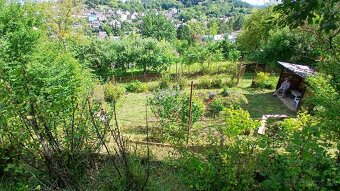 Záhrada v PB Jelšové - 3