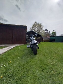 Harley davidson dyna 103 - 3