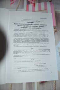 Účtovná osnova a postupy účtovania pre podnikateľov - 3