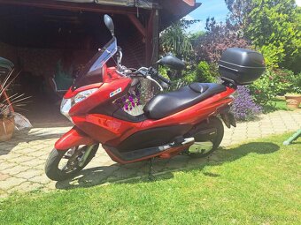 honda pcx 125 - 3