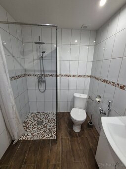 Ponúkam na prenájom 1 izbový byt s balkónom Dlhej Vsi - 3