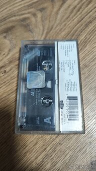 All Saints kazeta - 3