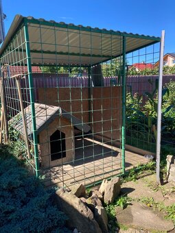 Voliéra pre psa - 3