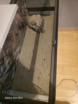 Terarium - 3
