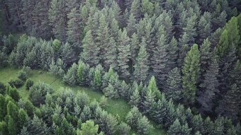 Pozemok na súkromí s výhľadom na lesy - 3