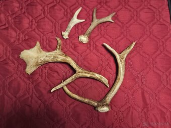 parohy parožie na výrobky rukoväť noža - 3