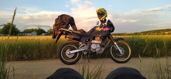 Honda Dominator 500 - 3