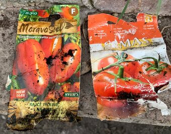 Planty rajcin a paprika - 3
