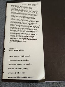 Predám knihu Peter Abrahams, Ich vlastná noc - 3