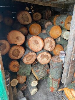 Predám drevo na kúrenie - 3