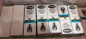 RETRO PALMEX - 3