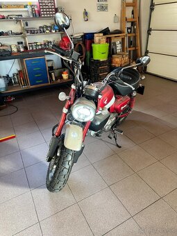Honda monkey 125 - 3