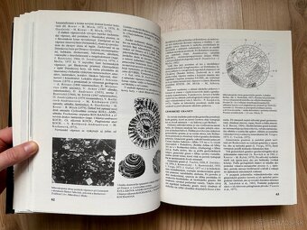 Kniha: Bolfík Július - Gemer Malohont I Príroda - 3