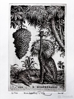 Peter Klucik - kolekcia grafik - 3