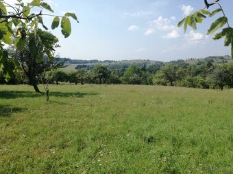 Pozemok - trvalý trávnatý porast - 3