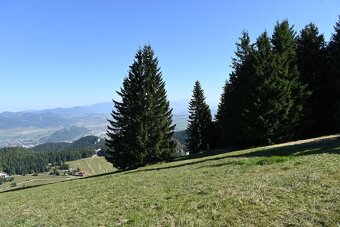 Predámpozemok na Málinom Brde - 3