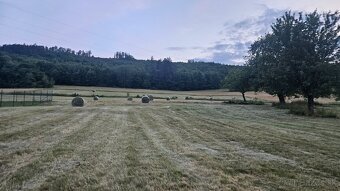 Balikovanie / lisovanie - 3