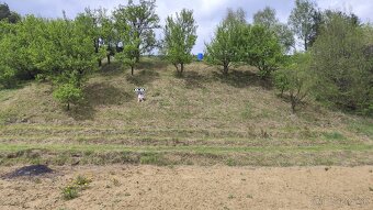 Zahradka 502 m2 - Spišská Belá - 3