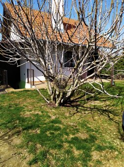 L&P | Rekreačná chata s pozemkom - MOKRÁŇ ZÁHON - 3