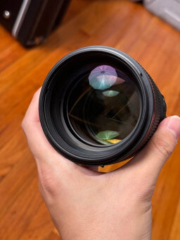Canon EF 85mm f/1.4 L IS USM - 3