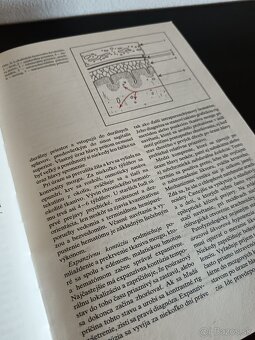 Predám knihu Špeciálna chirurgia - 3