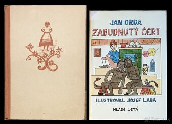 Ceska literatura - 3