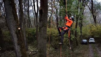 Orezávanie stromov, rizikový výrub stromov, pilčícke práce - 3