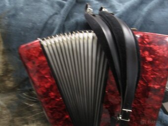 harmonika delicia - 3