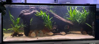 Akvarium 420l - 3