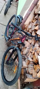 Scott scale 40 - 3