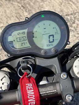 Benelli Leoncino 500 2019 - 3