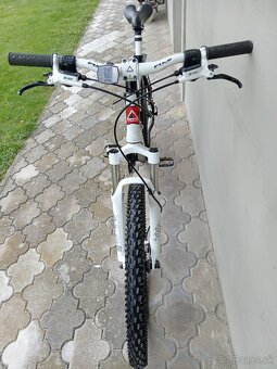 FUJI NEVADA 1.0 - 3