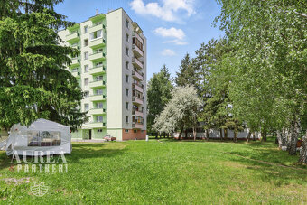 PREDAJ Investičný pozemok 3234m2 na výstavbu BYT. a ROD.domu - 3
