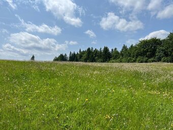 Investičný pozemok 3613 m2, Donovaly, Banská Bystrica - 3